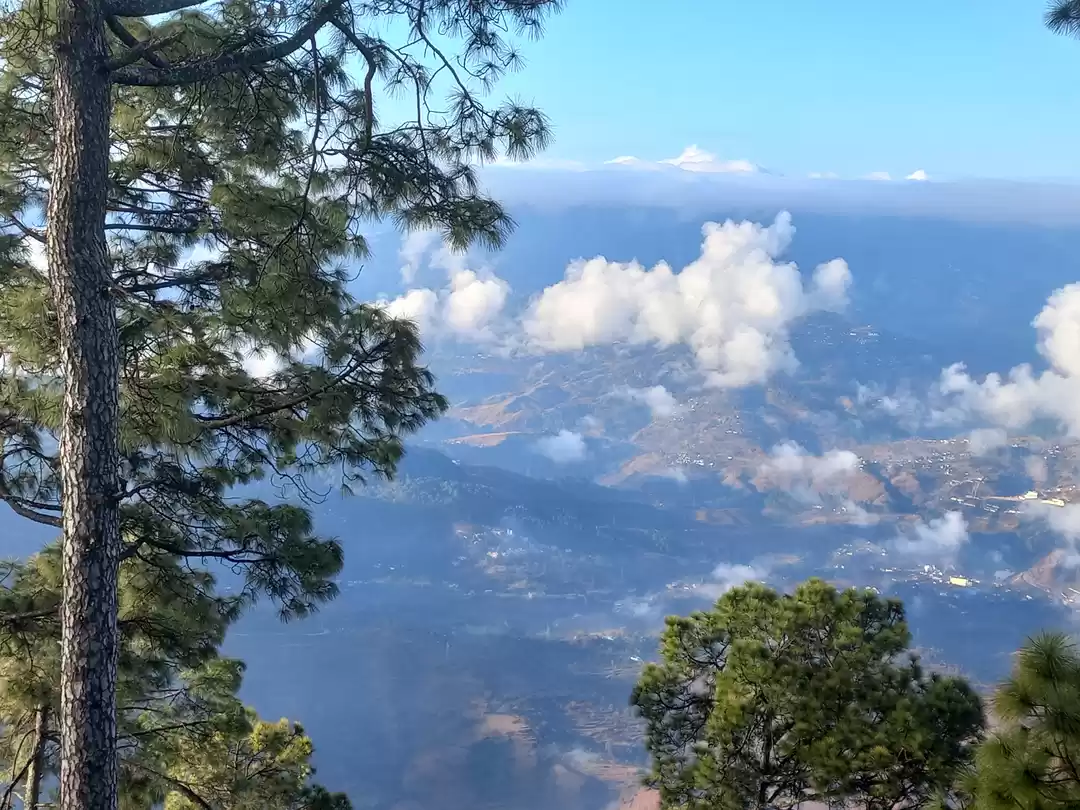 Photo of Kasar - Heavenly tra