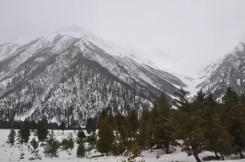 Photo of Chitkul- I almost re