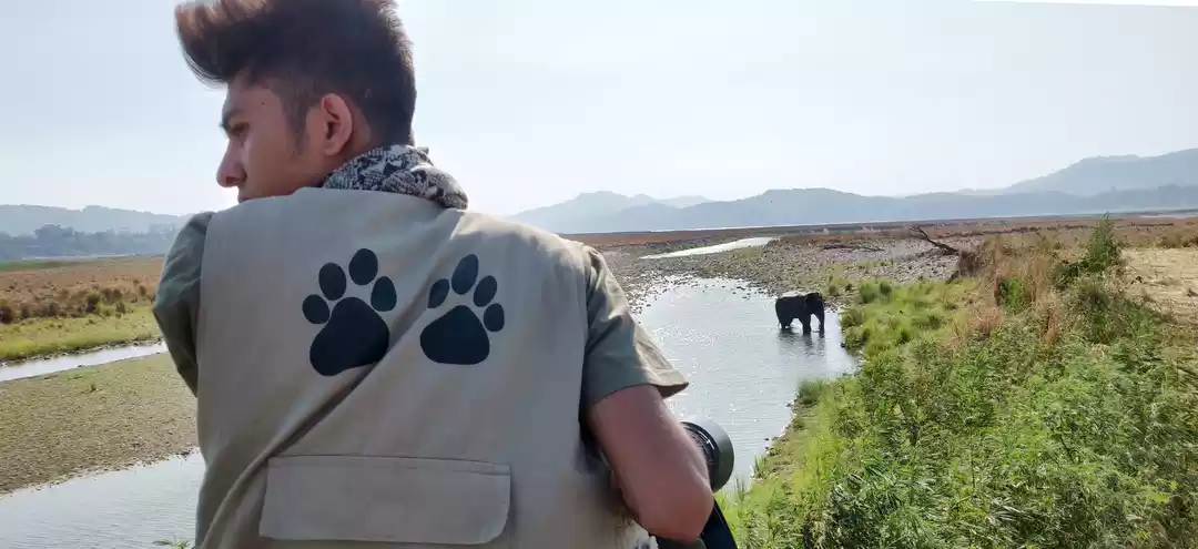 Photo of Introducing Corbett'