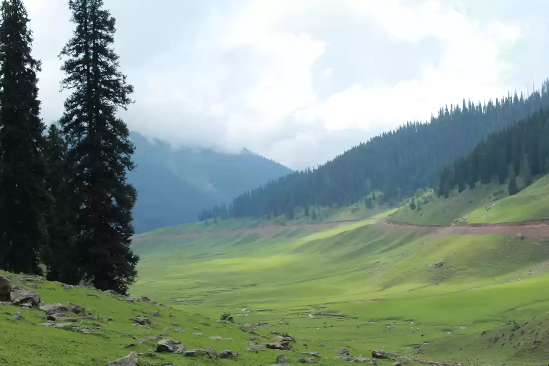 Photo of Bungus valley - Heav