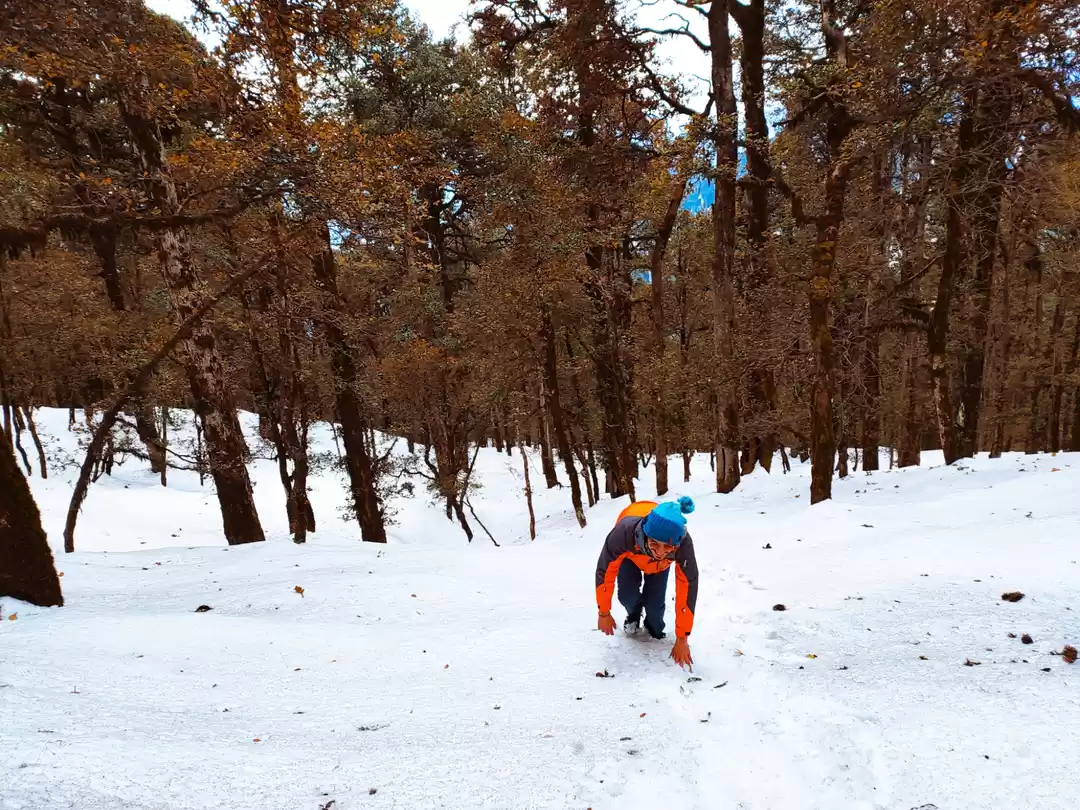 Photo of First snow trek ❄️⛄