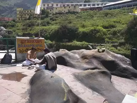 Photo of #BrahmaKapal #Bramha