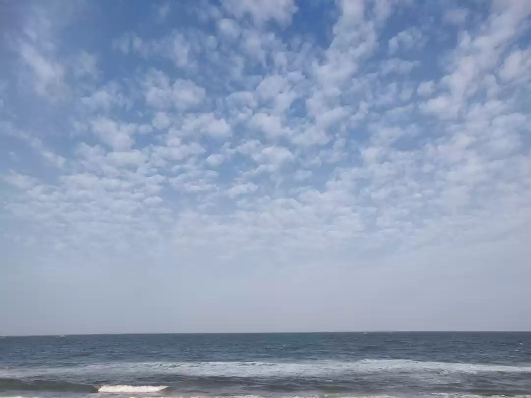 Photo of Things to do in Pond