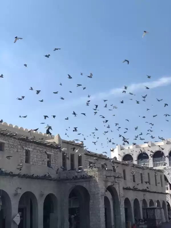 Photo of Doha, Qatar- Another