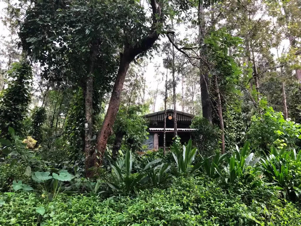 Photo of Chikamagalur - Mini