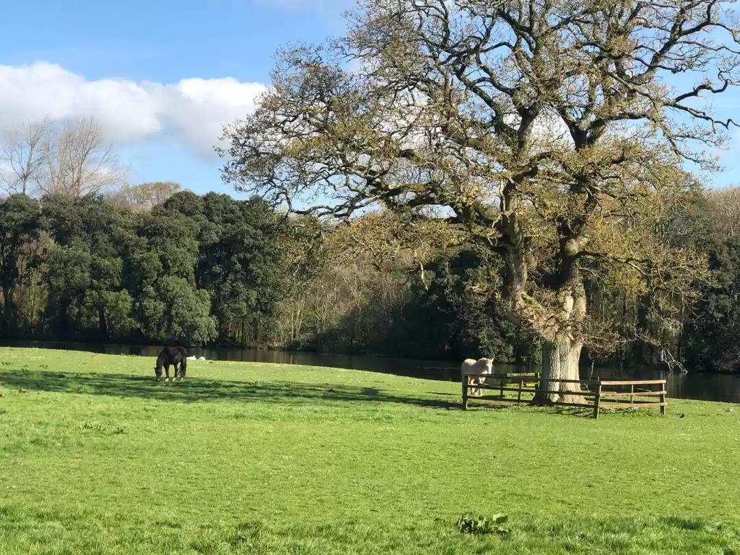 Photo of Slainte from Ireland