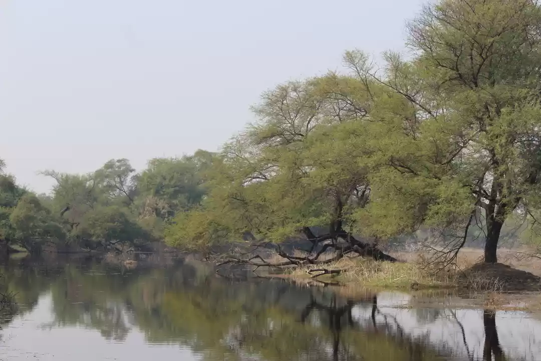 Photo of A 2.5 day power-pack