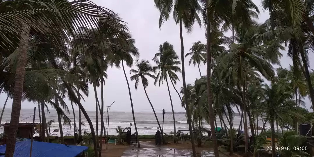 Photo of Malvan:Konkan's Own 