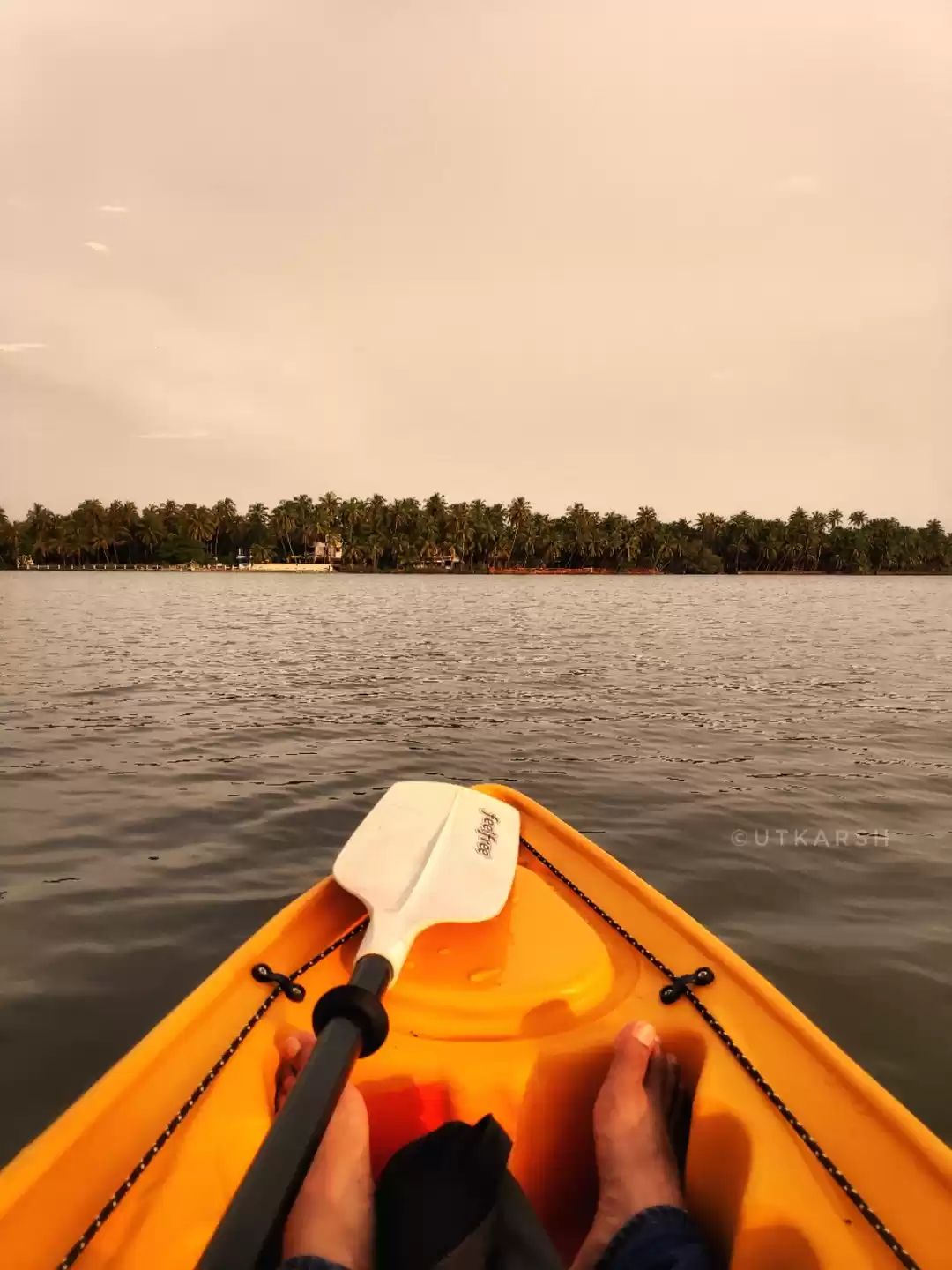 Photo of More than an island-