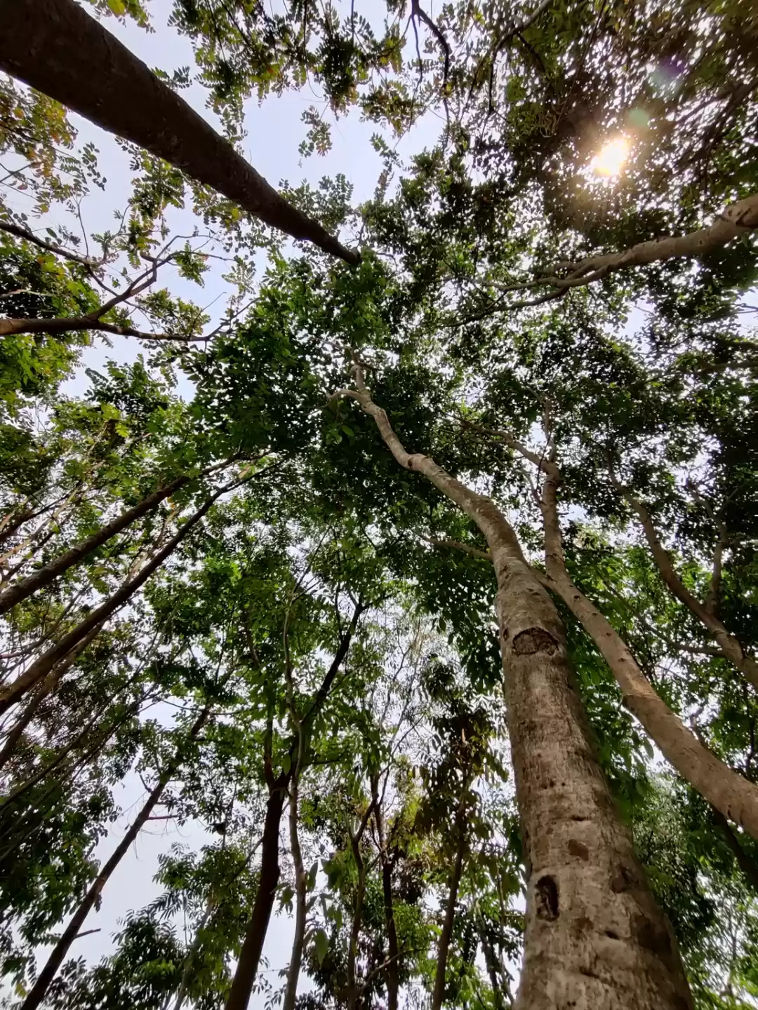 Photo of Treasury for peace a