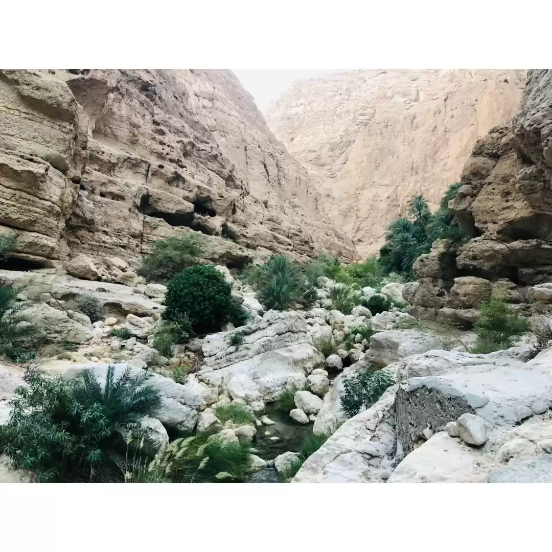 Photo of Trekking at Wadi Sha