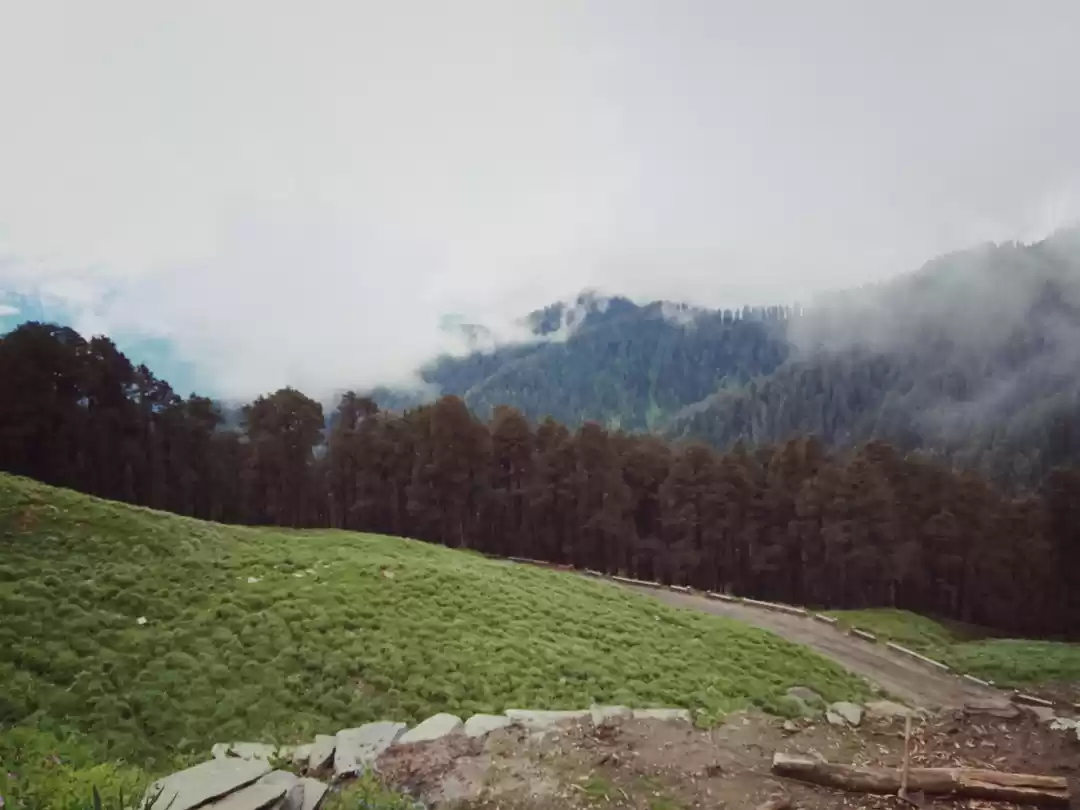 Photo of Tirthan Valley !