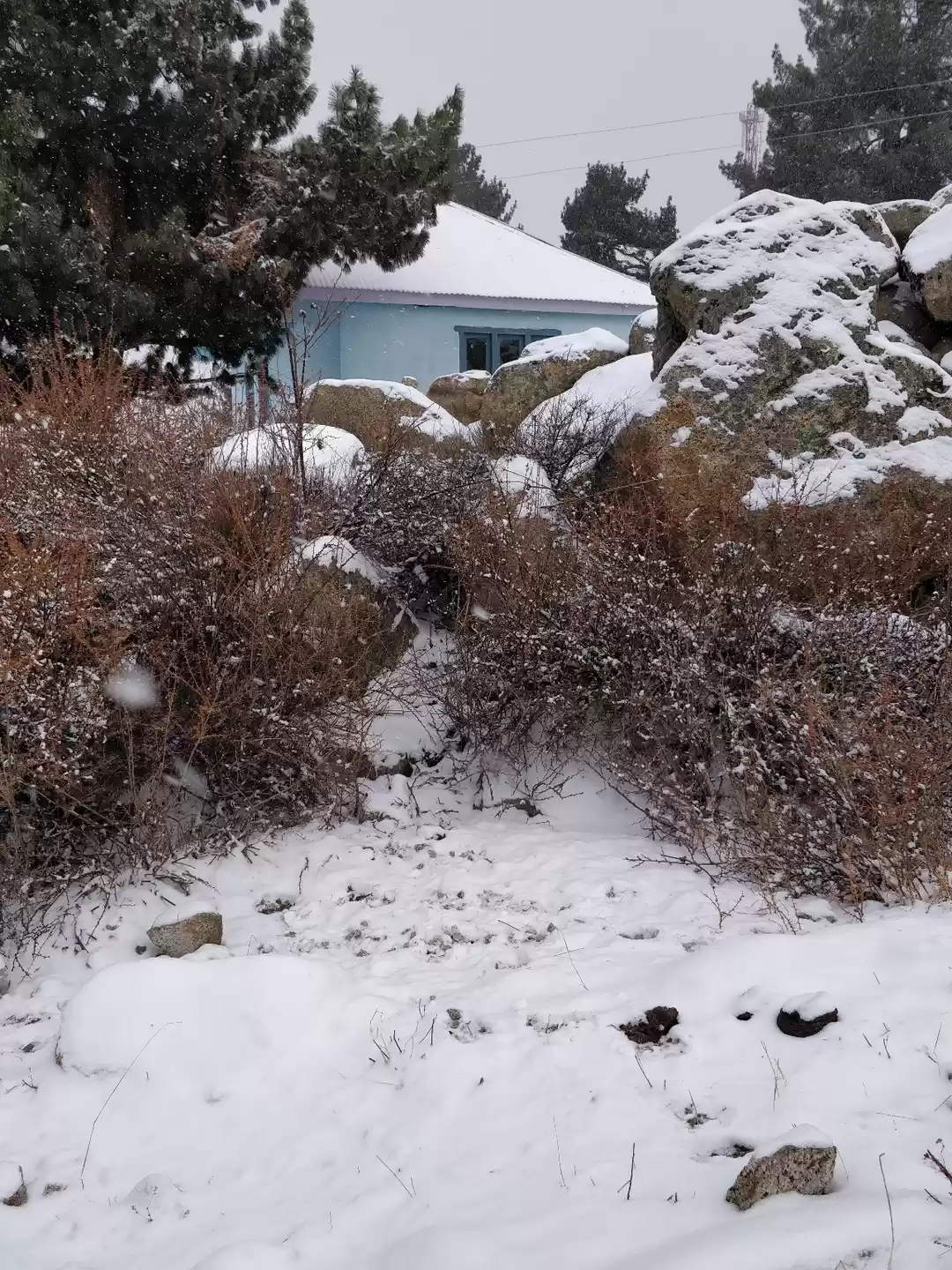 Photo of Chitkul - DELHI ->