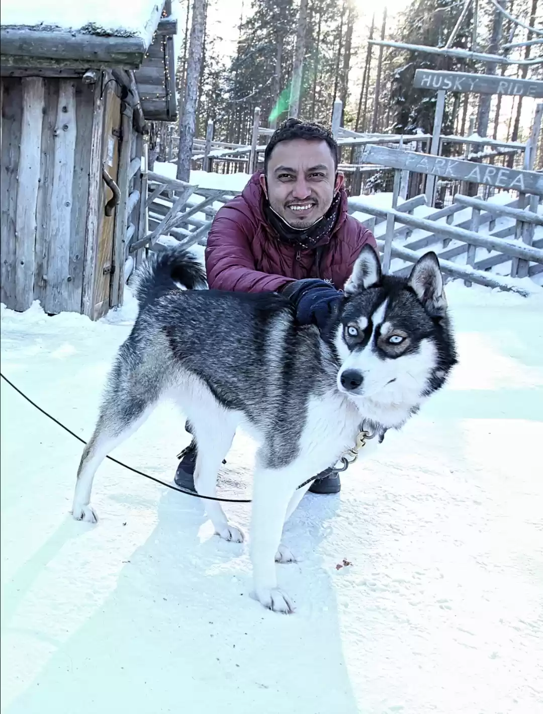 Photo of A husky sleigh ride 
