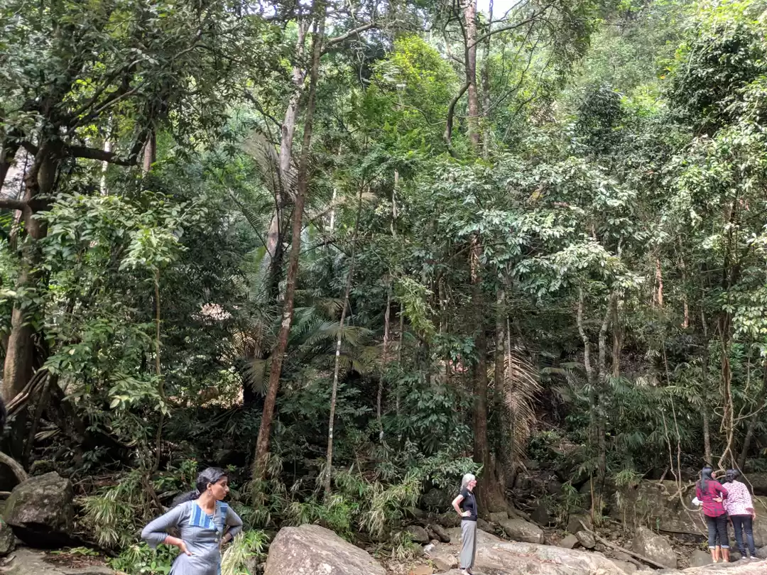 Photo of Vazhvanthol waterfal
