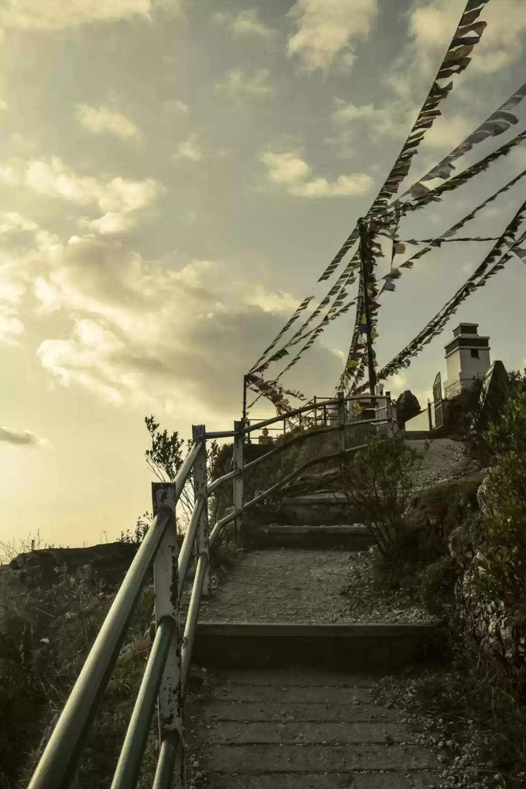 Photo of Happy Valley - Musso