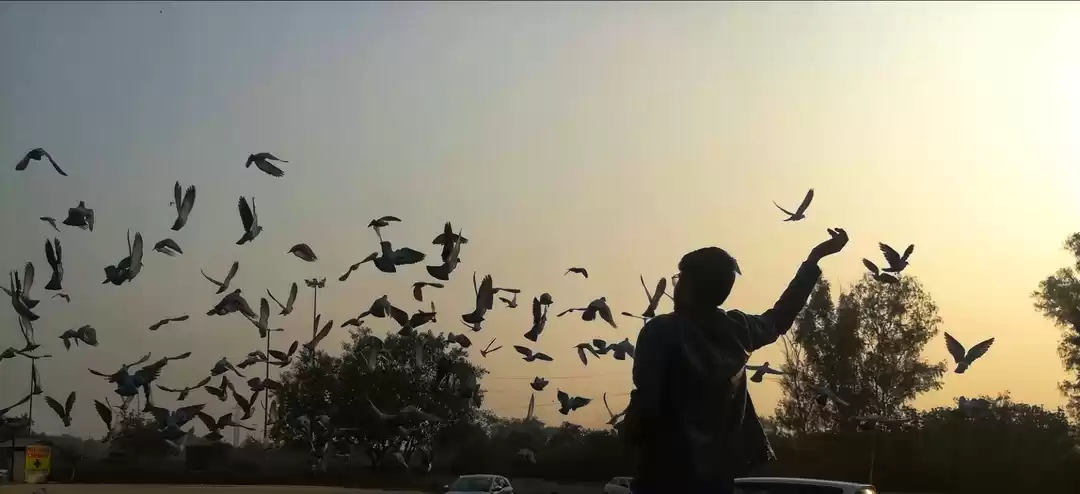 Photo of parvez khan