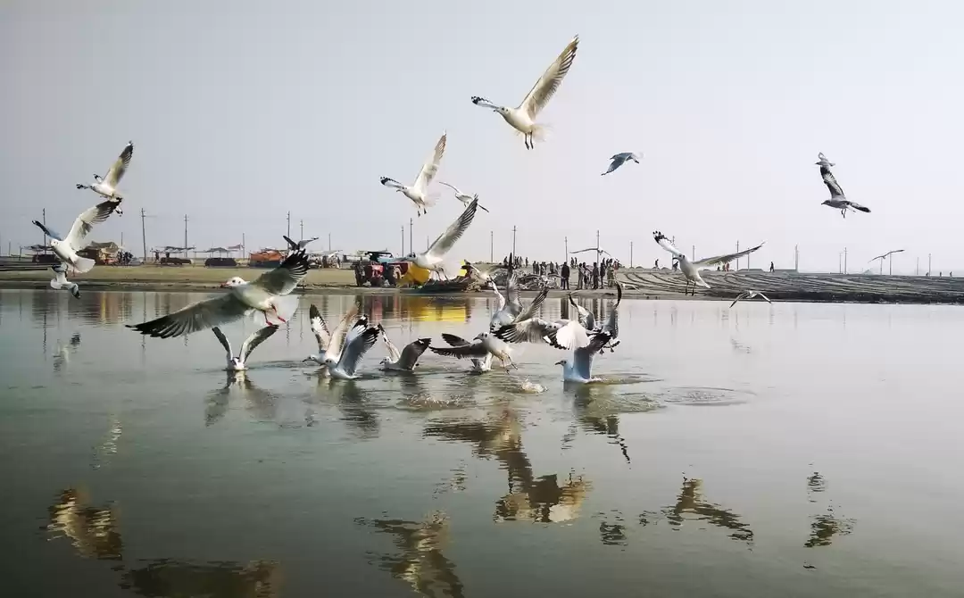 Photo of Planning a project w