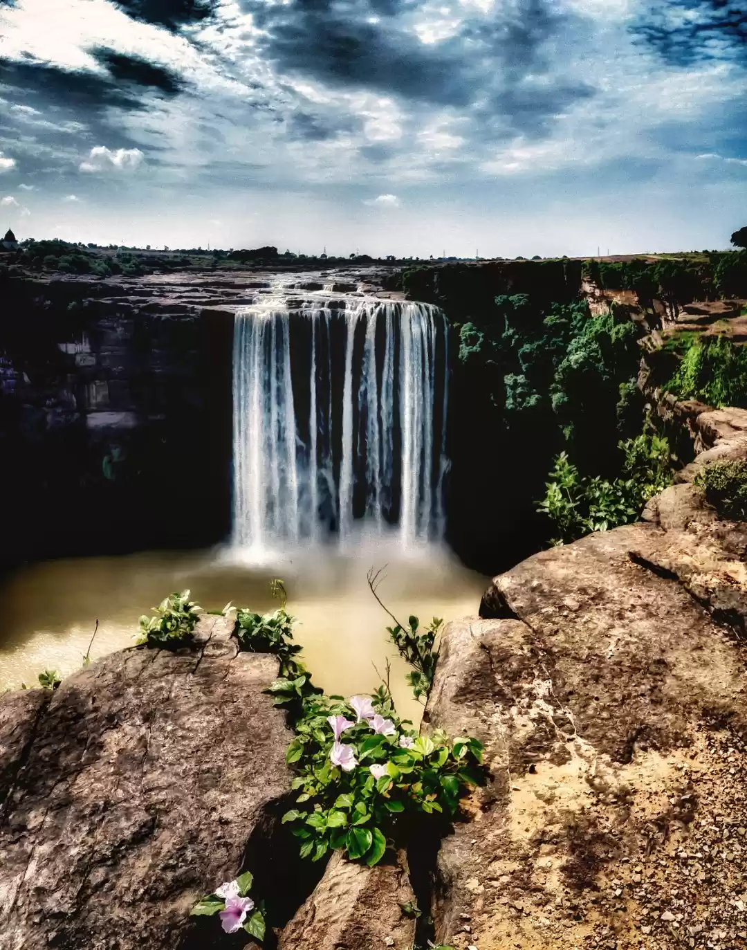 Photo of Amazing Trip