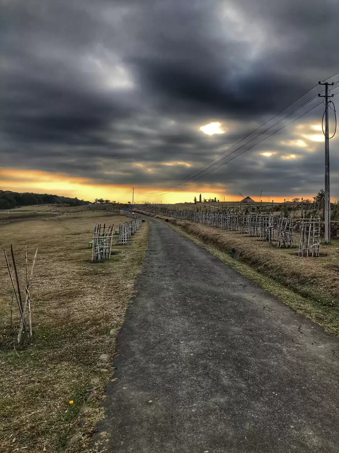 Photo of Sacred Forest and th