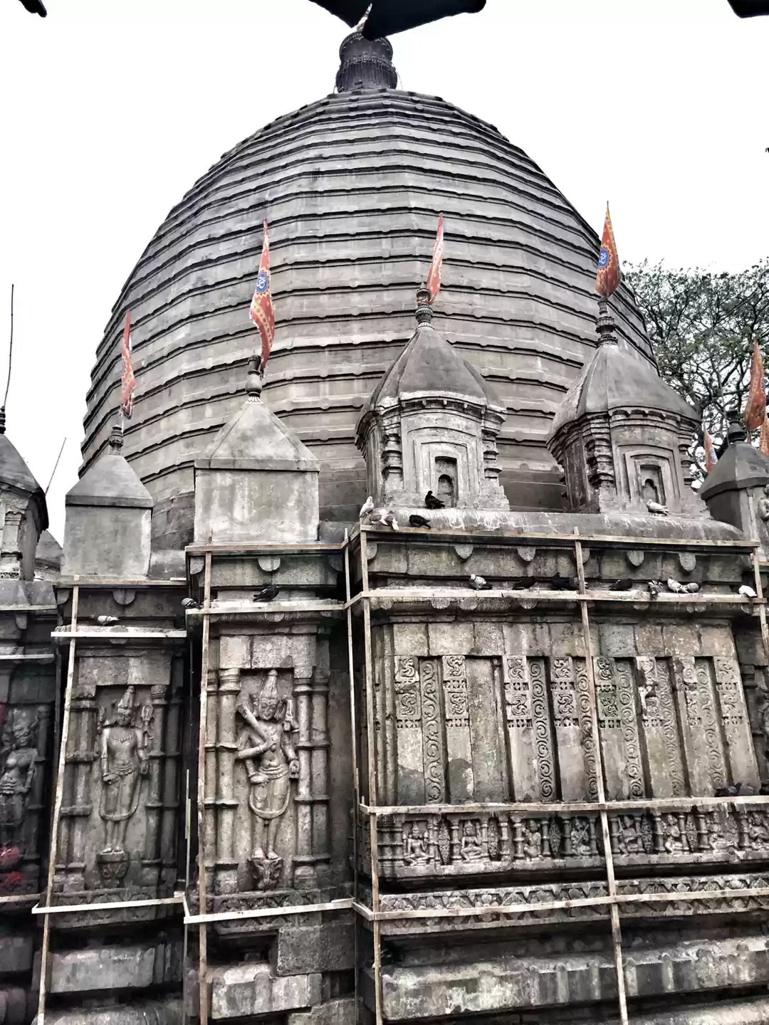 Photo of Maa Kamakhya : celeb