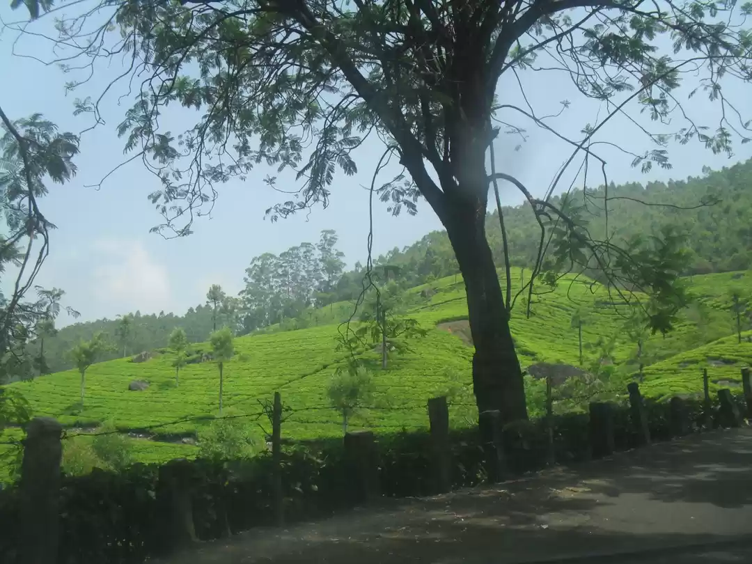 Photo of Trip to Kerala Munna