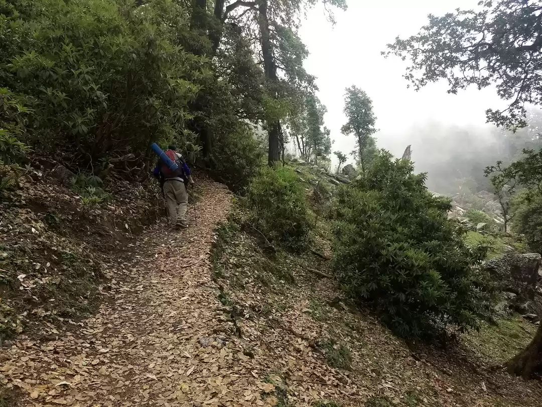 Photo of Khaliyatop trek