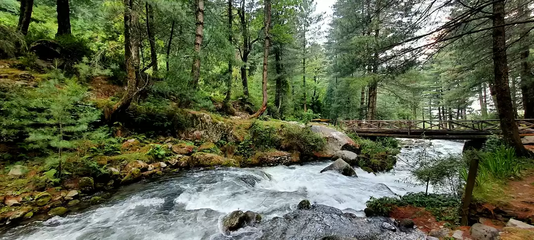 Photo of Beyond Manali: Disco