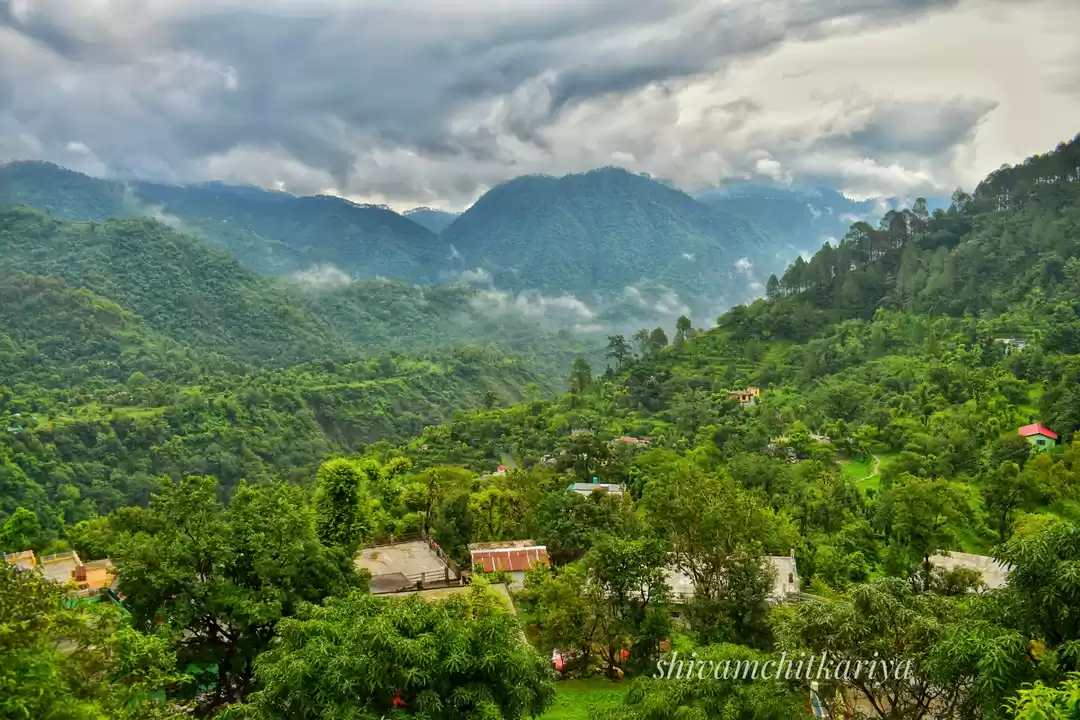 Photo of Green environment he