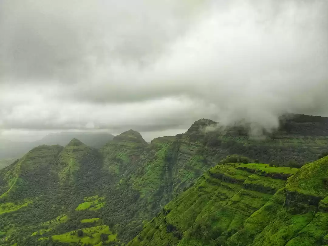 Photo of Your perfect summer