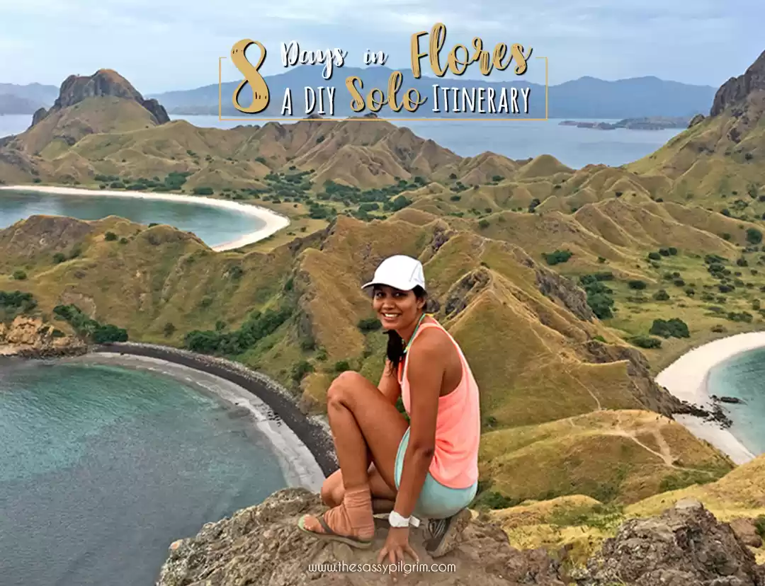 Photo of 8 DAYS IN FLORES, A 