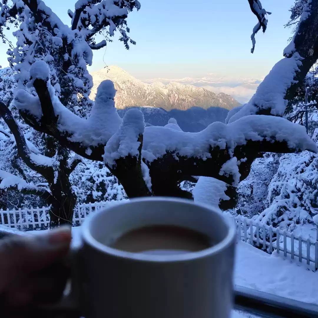 What is the winter line and how I witnessed its magic in Mussoorie - Tripoto