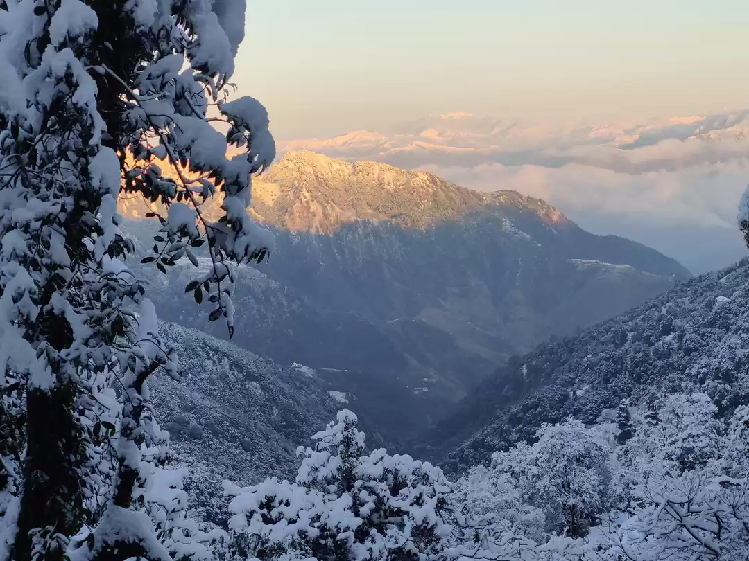 Photo of Unplanned Trips are