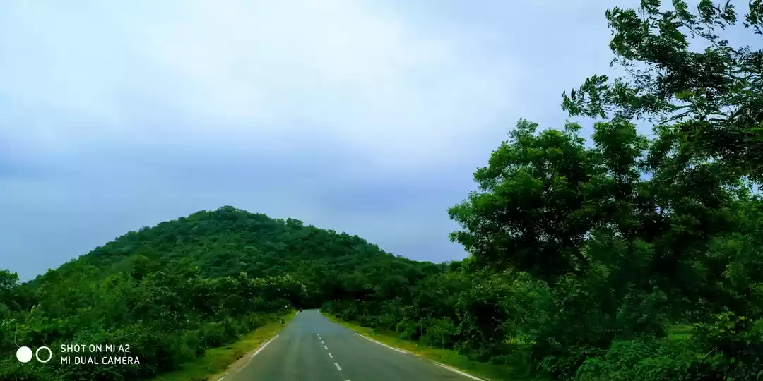 Photo of A new place to trave