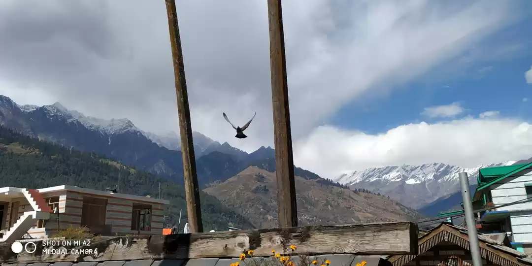 Photo of Shimla Manali Manika