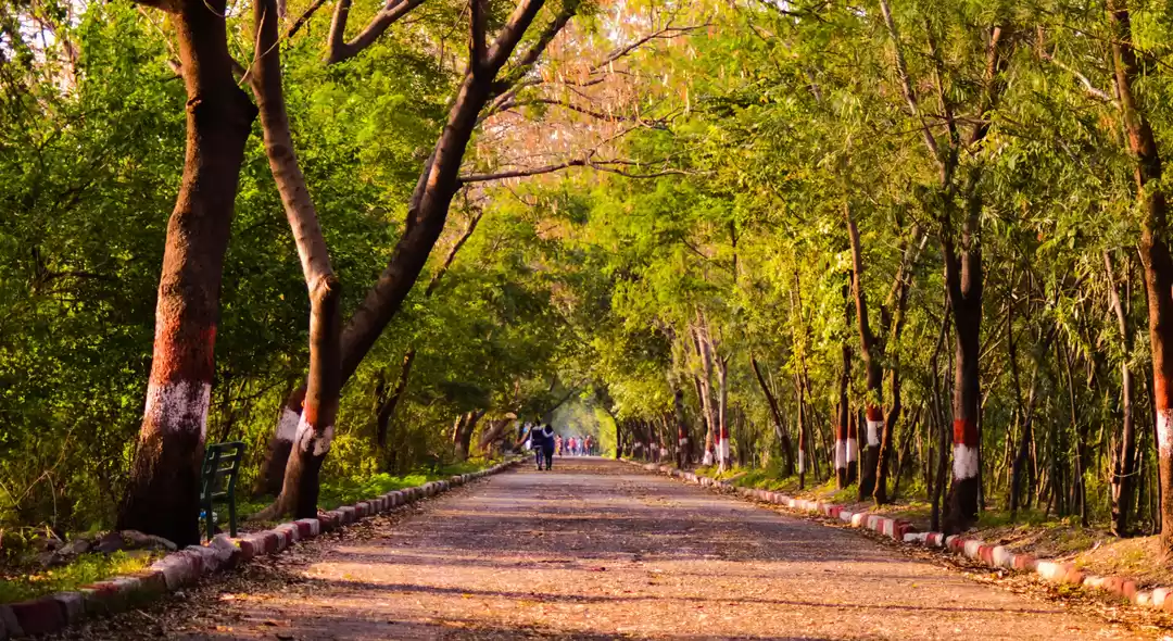 Photo of Delhi Discovery - Ok