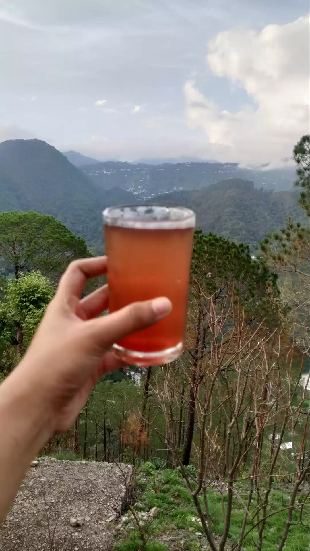 Photo of Buransh juice 