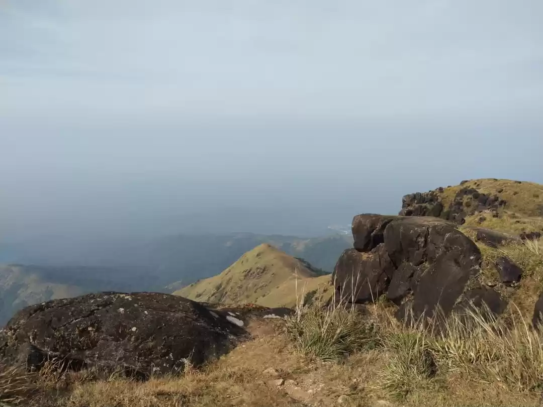 Photo of Hungry trippers trip