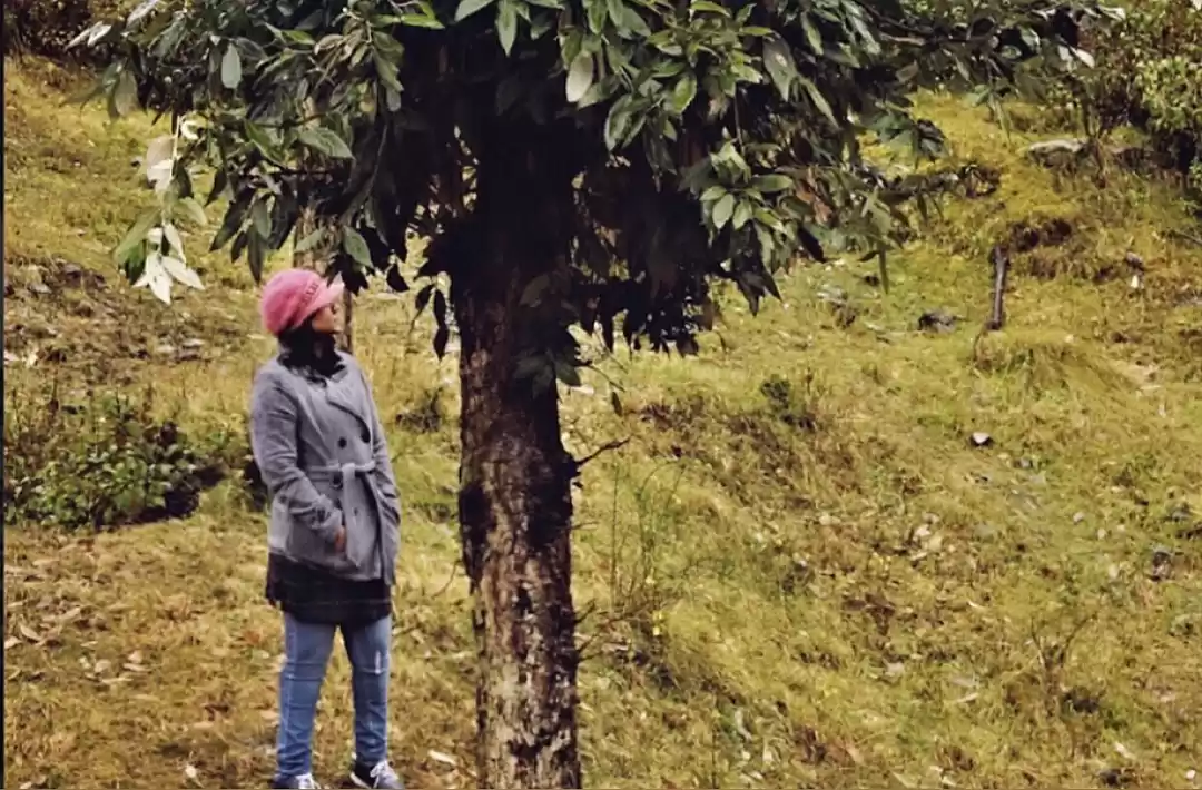 Photo of Here Are Some Intres