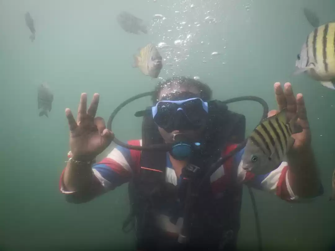 Photo of Tarkarli - Life unde