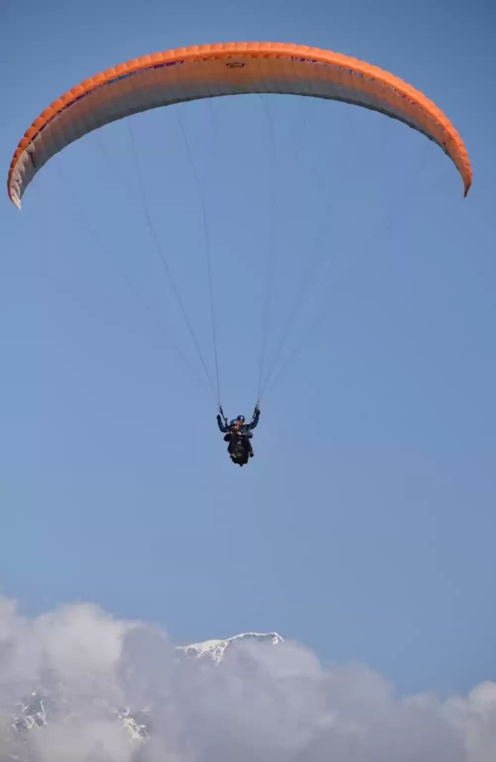 Photo of "FLY LIKE A BIRD"BIR