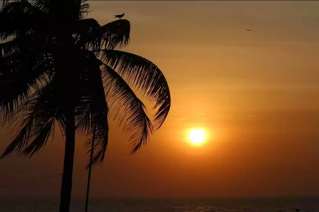 Photo of Band stand bandra
