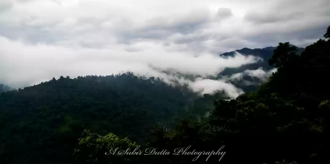 Photo of Bindu,Jhalong a week