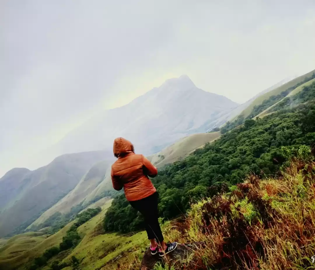 Photo of 5 Reasons that made