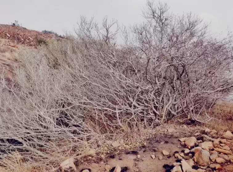 Photo of #Doityourself one da