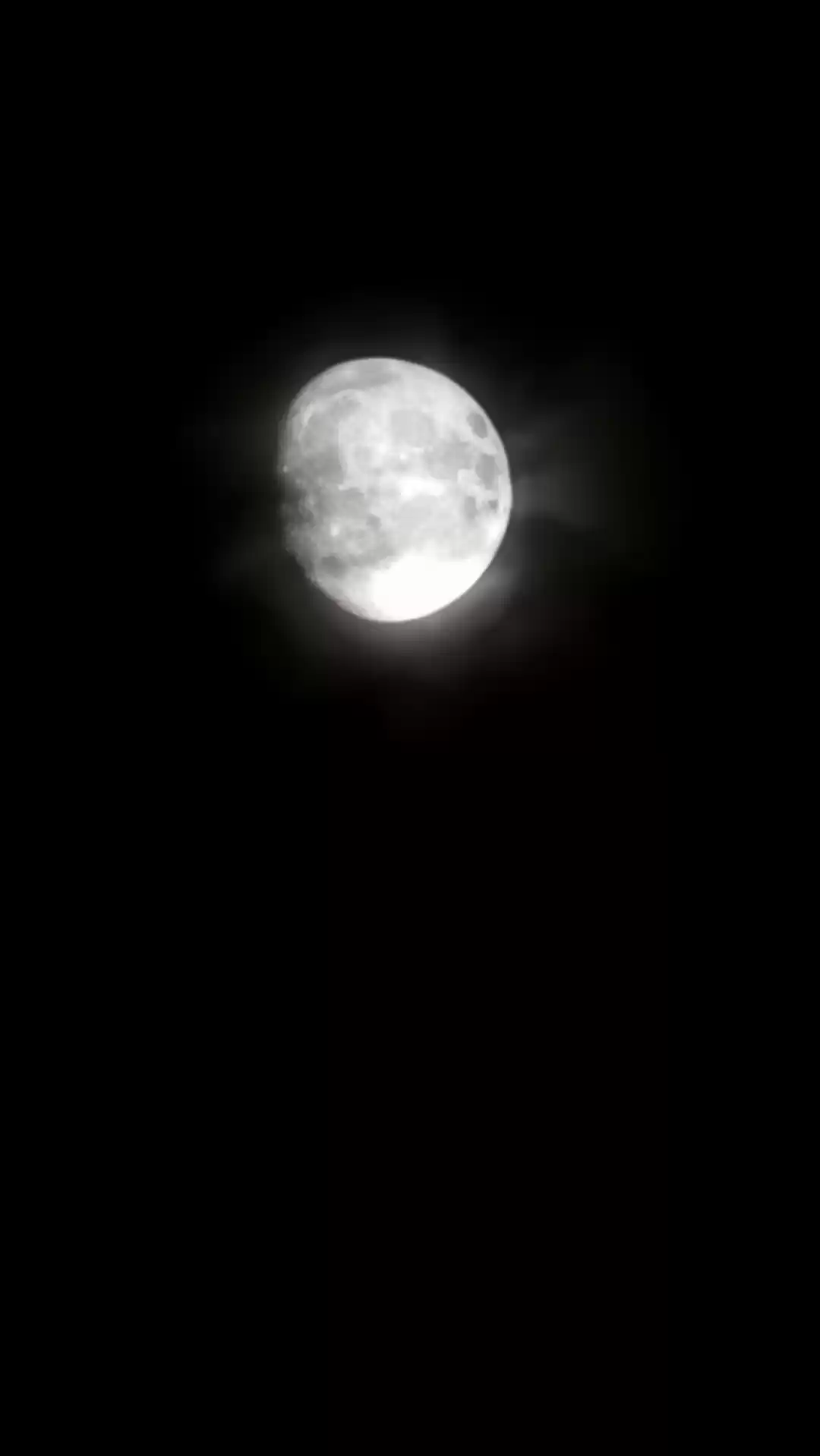 Photo of Capturing the beauty