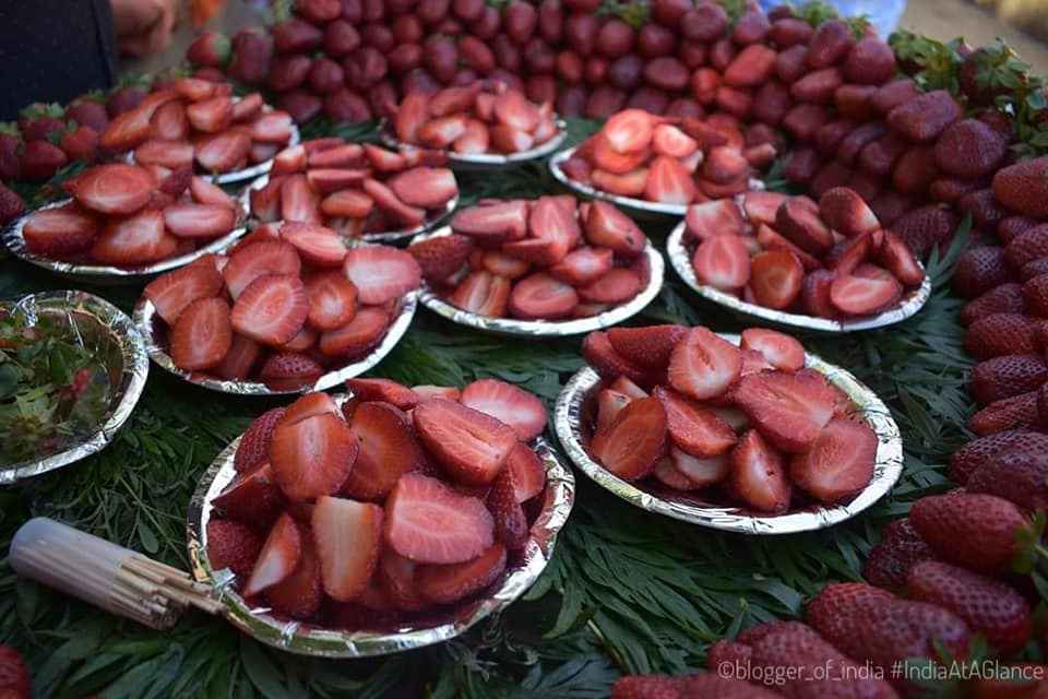 First Solo Trip Of My Life Full Of Experience And Fun Tripoto When we travel to different places , we are always keen on trying local food but did we ever try having fruits ? first solo trip of my life full of