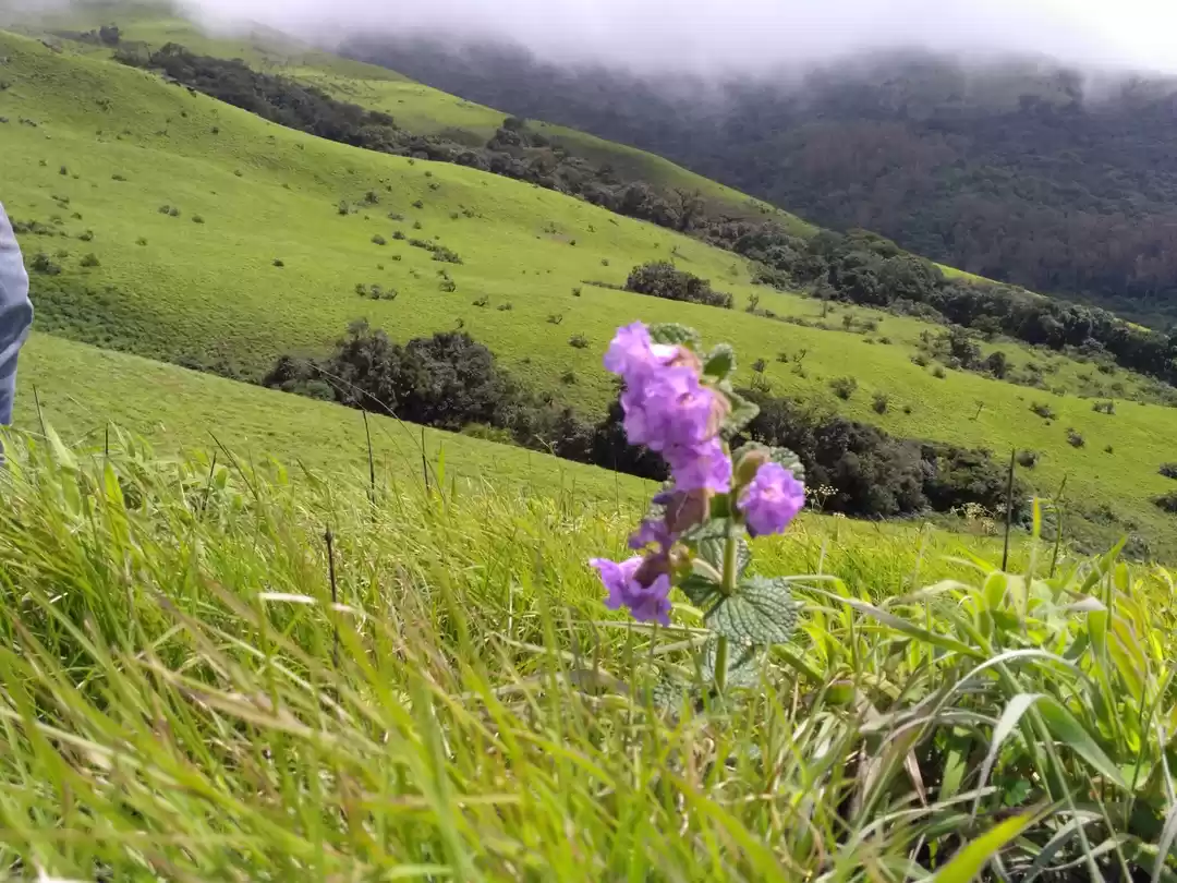 Photo of Lost into the clouds