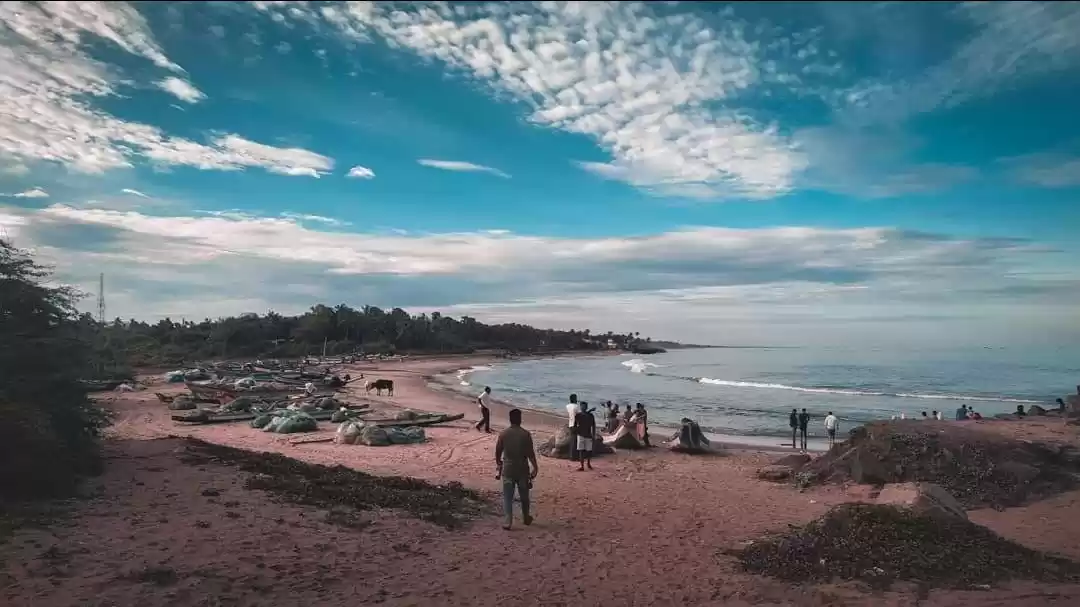 Photo of Once upon the cherry