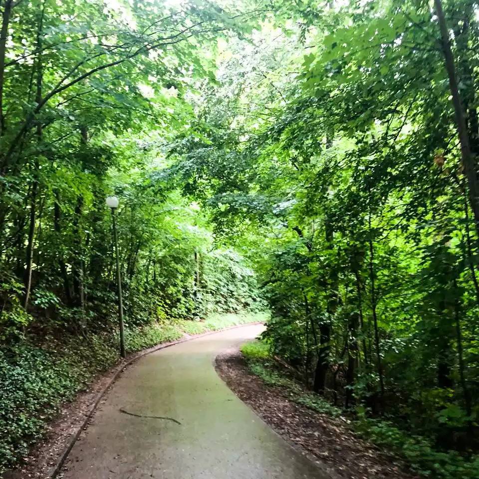 Photo of Switzerland: Heaven